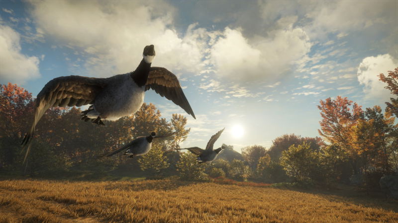 theHunter: Call of the Wild [2019 Edition] (DVD-ROM) image 6