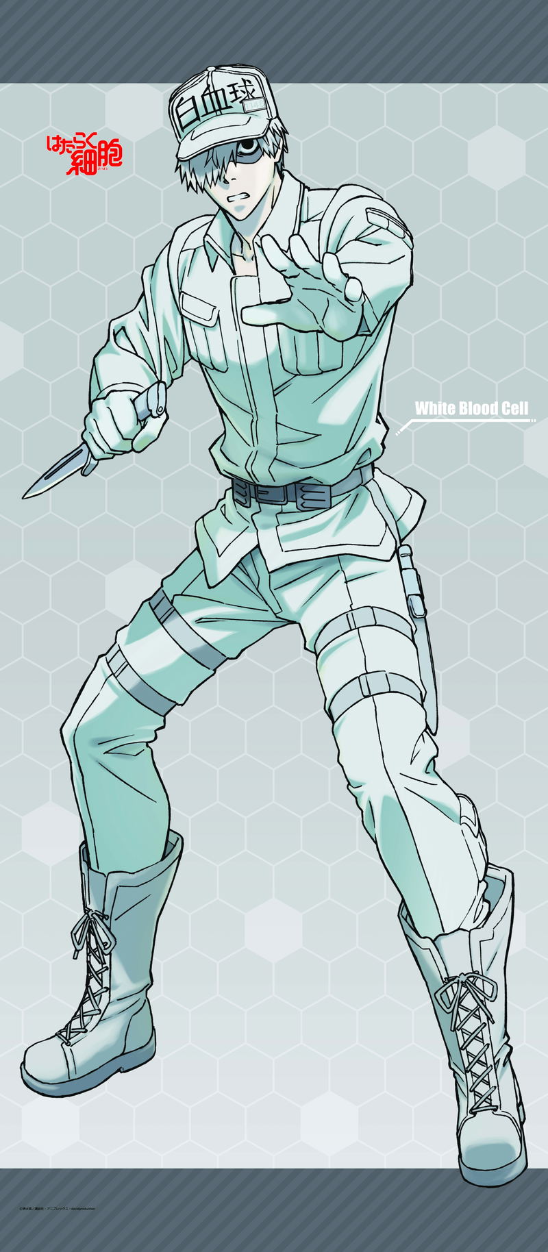 Cells at Work! Big Wall Scroll: White Blood Cell image 2