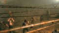 Metal Gear Survive (Latam Cover) thumbnail 7