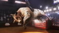 8 to Glory: The Official Game of the PBR thumbnail 13