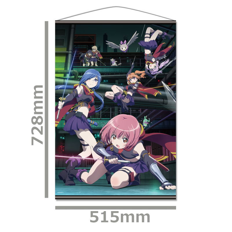 Release The Spyce B2 Wall Scroll A: Key Visual image 2