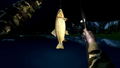 Ultimate Fishing Simulator <span class="ext" style="background-color: #2a475e; color: #FFFFFF;">STEAM</span> <span class="ext ext_digital">digital</span> thumbnail 6