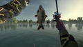 Ultimate Fishing Simulator <span class="ext" style="background-color: #2a475e; color: #FFFFFF;">STEAM</span> <span class="ext ext_digital">digital</span> thumbnail 9