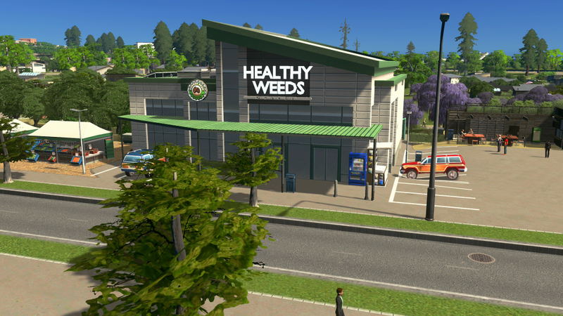 Cities: Skylines (Platinum Edition) <span class="ext" style="background-color: #2a475e; color: #FFFFFF;">STEAM</span> <span class="ext ext_digital">digital</span> image 5
