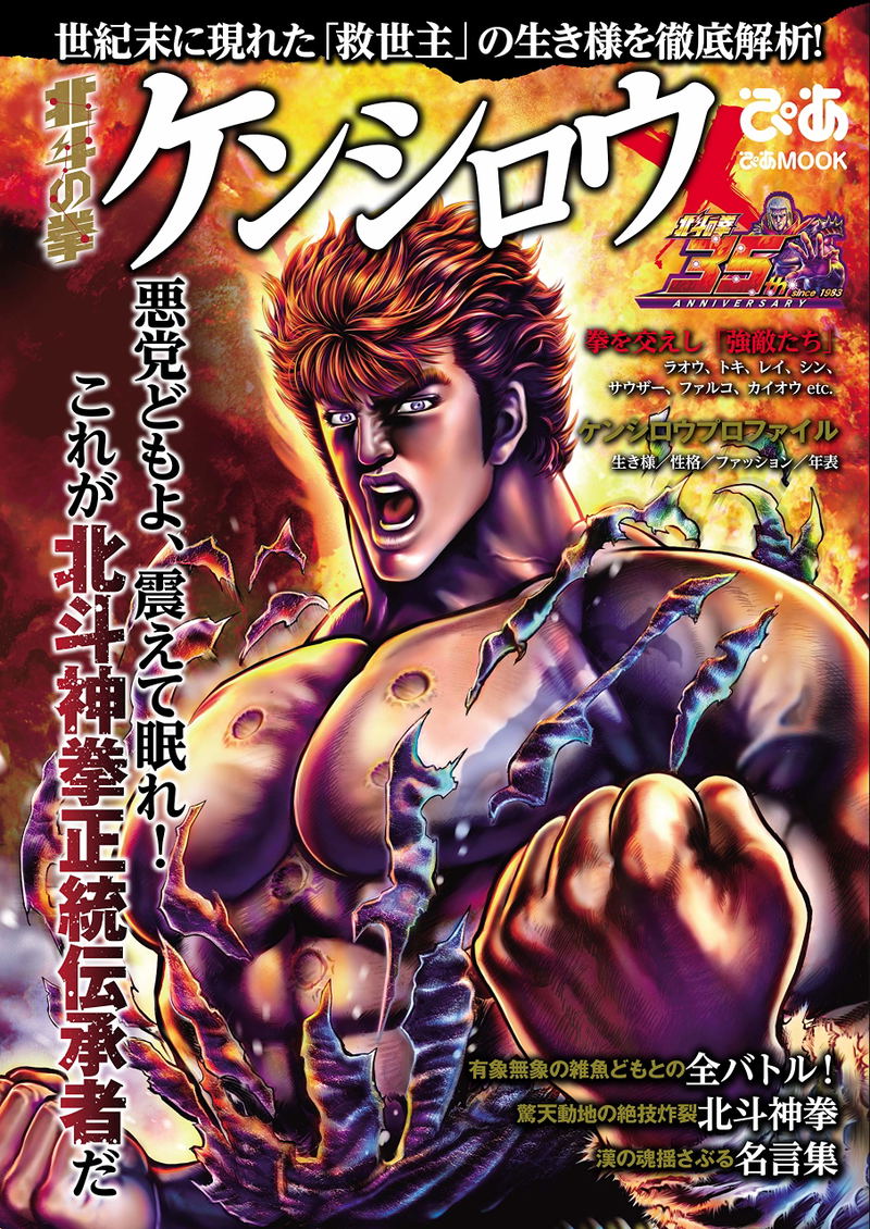 Fist Of The North Star: Kenshiro Pia image 1