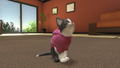 Little Friends: Dogs & Cats thumbnail 8