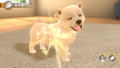 Little Friends: Dogs & Cats thumbnail 2