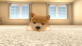 Little Friends: Dogs & Cats thumbnail 4
