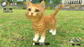 Little Friends: Dogs & Cats thumbnail 6