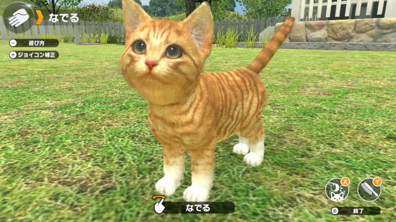 Little Friends: Dogs & Cats image 6