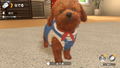 Little Friends: Dogs & Cats thumbnail 7