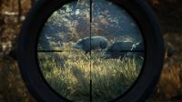 theHunter: Call of the Wild [2019 Edition]