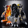 Digivolving Spirits 08 Digimon Adventure 02: BlackWarGreymon thumbnail 9