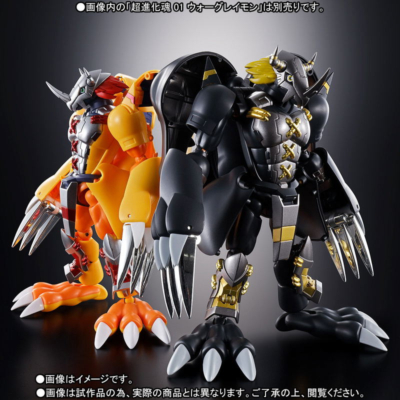Digivolving Spirits 08 Digimon Adventure 02: BlackWarGreymon image 9