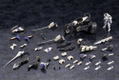 Hexa Gear 1/24 Scale Model Kit: Voltrex LA Type thumbnail 15