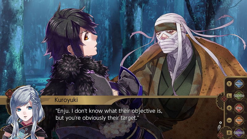 Hyakka Hyakurou: Sengoku Ninpoujou (English) image 3