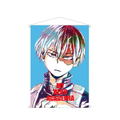 My Hero Academia Ani-Art Wall Scroll: Shoto Todoroki (Re-run) thumbnail 1