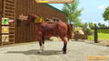 My Little Riding Champion thumbnail 4