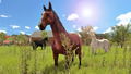 My Little Riding Champion thumbnail 6