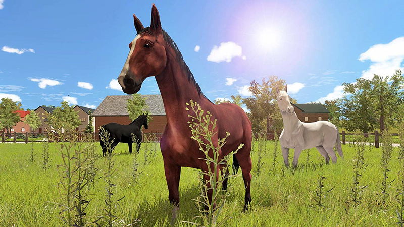 My Little Riding Champion image 6