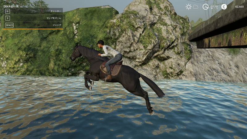Farming Simulator 19 image 29