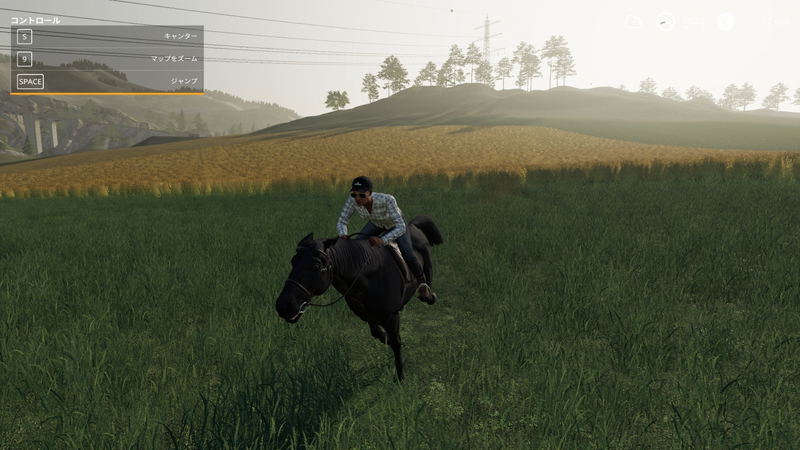 Farming Simulator 19 image 30