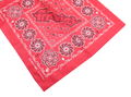 Splatoon 2 - Yakifugu Biscuit Bandana Red thumbnail 2