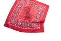 Splatoon 2 - Yakifugu Biscuit Bandana Red thumbnail 3