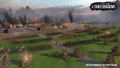 Total War: Three Kingdoms [Limited Edition] (DVD-ROM) thumbnail 7