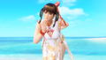 Dead or Alive Xtreme 3: Scarlet (Multi-Language) thumbnail 6