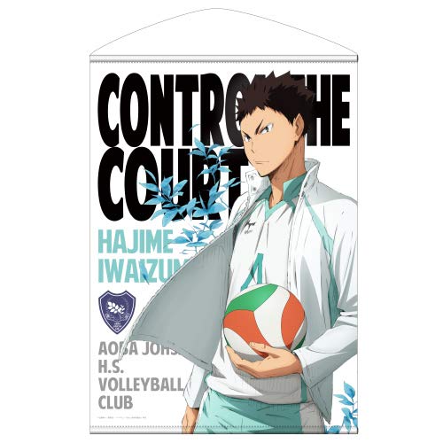 Haikyu!! B2 Wall Scroll: Hajime Iwaizumi (Re-run) image 1