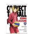 Haikyu!! B2 Wall Scroll: Kenma Kozume (Re-run) thumbnail 1