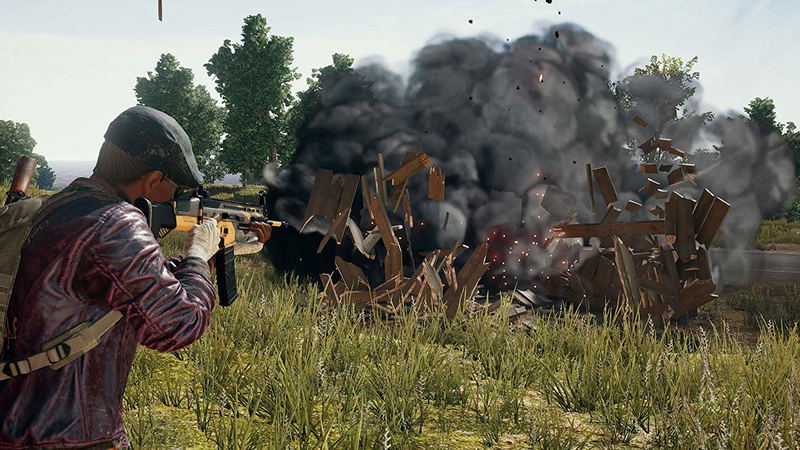 PlayerUnknown's Battlegrounds image 2