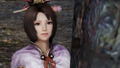 Sengoku Musou 4 DX (15th Anniversary Box) thumbnail 9