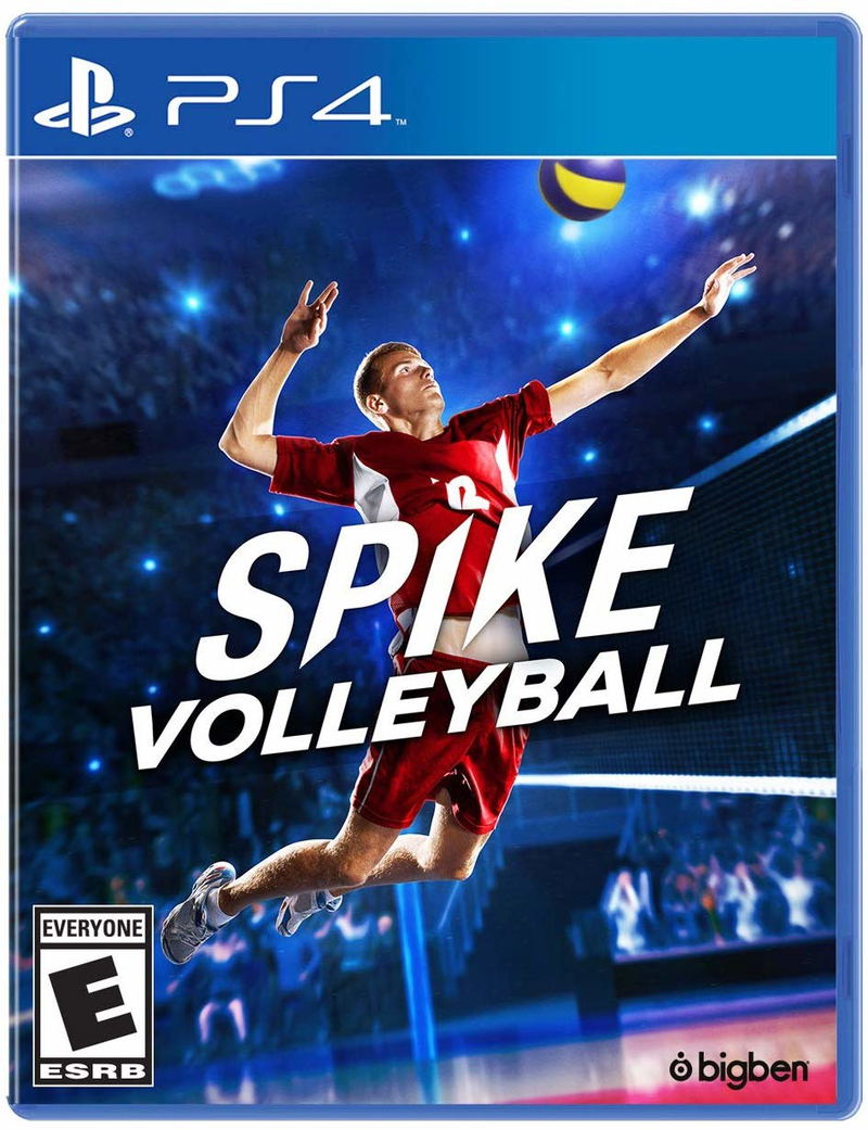 Spike Volleyball image 1