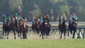 Winning Post 9 thumbnail 3