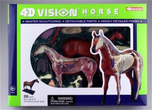 4D VISION Animal Dissection No. 04: Horse Anatomy Model (Re-run)