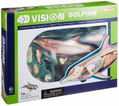 4D VISION Animal Dissection No. 07: Dolphin Anatomy Model (Re-run) thumbnail 11