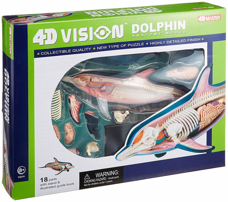 4D VISION Animal Dissection No. 07: Dolphin Anatomy Model (Re-run) image 11