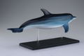 4D VISION Animal Dissection No. 07: Dolphin Anatomy Model (Re-run) thumbnail 5