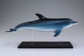 4D VISION Animal Dissection No. 07: Dolphin Anatomy Model (Re-run) thumbnail 6