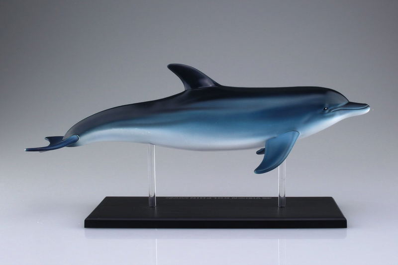 4D VISION Animal Dissection No. 07: Dolphin Anatomy Model (Re-run) image 6