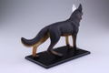 4D VISION Animal Dissection No. 18: Dog Anatomy Model (Re-run) thumbnail 5