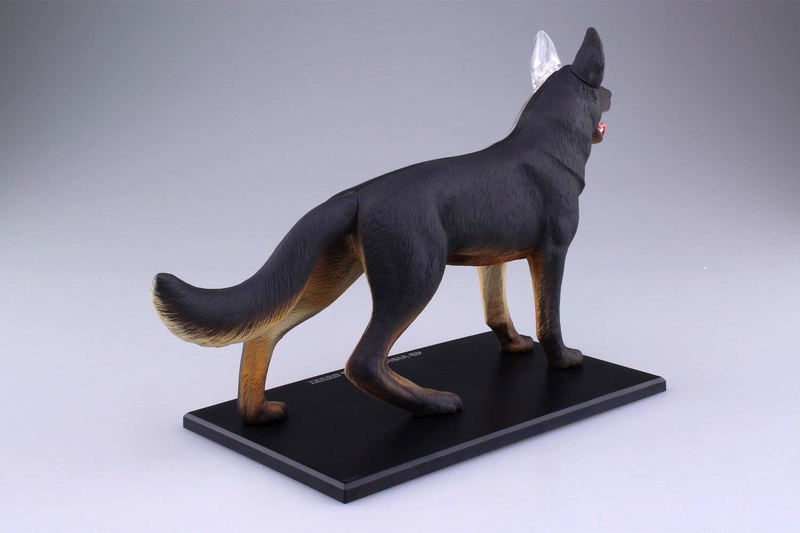 4D VISION Animal Dissection No. 18: Dog Anatomy Model (Re-run) image 5