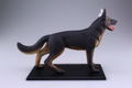 4D VISION Animal Dissection No. 18: Dog Anatomy Model (Re-run) thumbnail 7