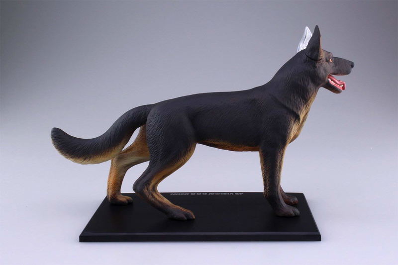 4D VISION Animal Dissection No. 18: Dog Anatomy Model (Re-run) image 7