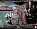 Dark Souls Statue: Mimic Standard Edition thumbnail 31