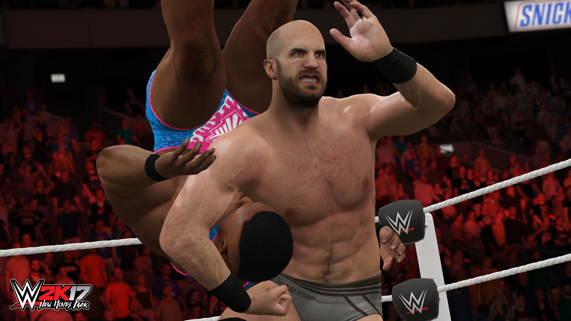 WWE 2K17: New Moves Pack (DLC) DLC STEAM digital for Windows