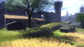 Ys IX: Monstrum Nox thumbnail 3