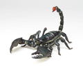 Revoltech Geo Vol.1: Pandinus Imperator thumbnail 1